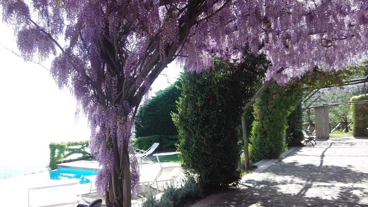 Photo of Outdoor in Massa Lubrense