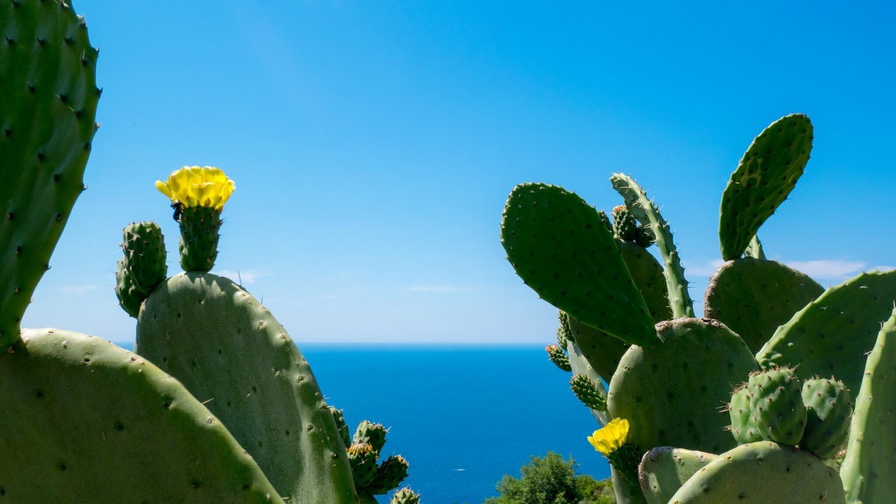 Photo of Outdoor in Massa Lubrense