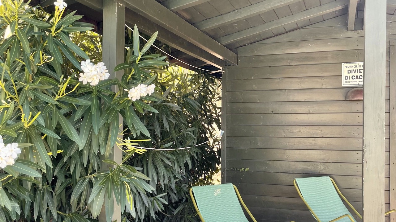 Photo of Patio Balcony in Gualdo Cattaneo