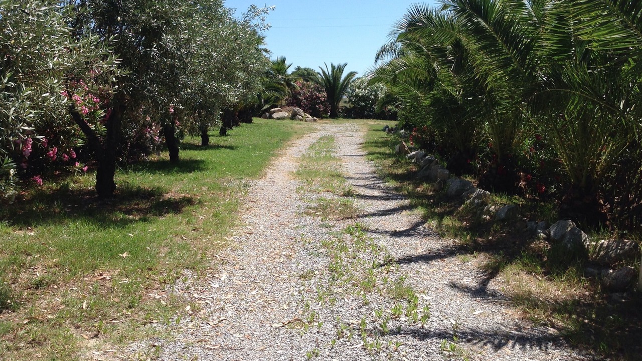 Photo of Outdoor in Ciaramiti