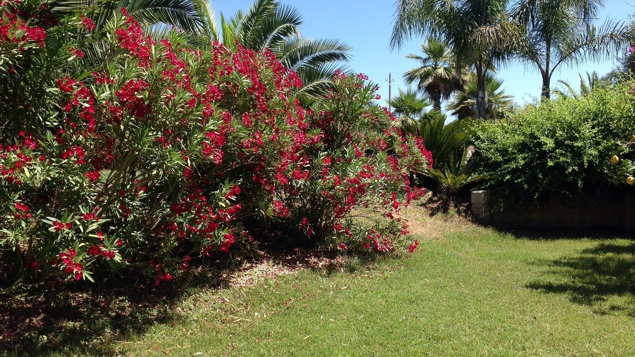 Photo of Outdoor in Ciaramiti