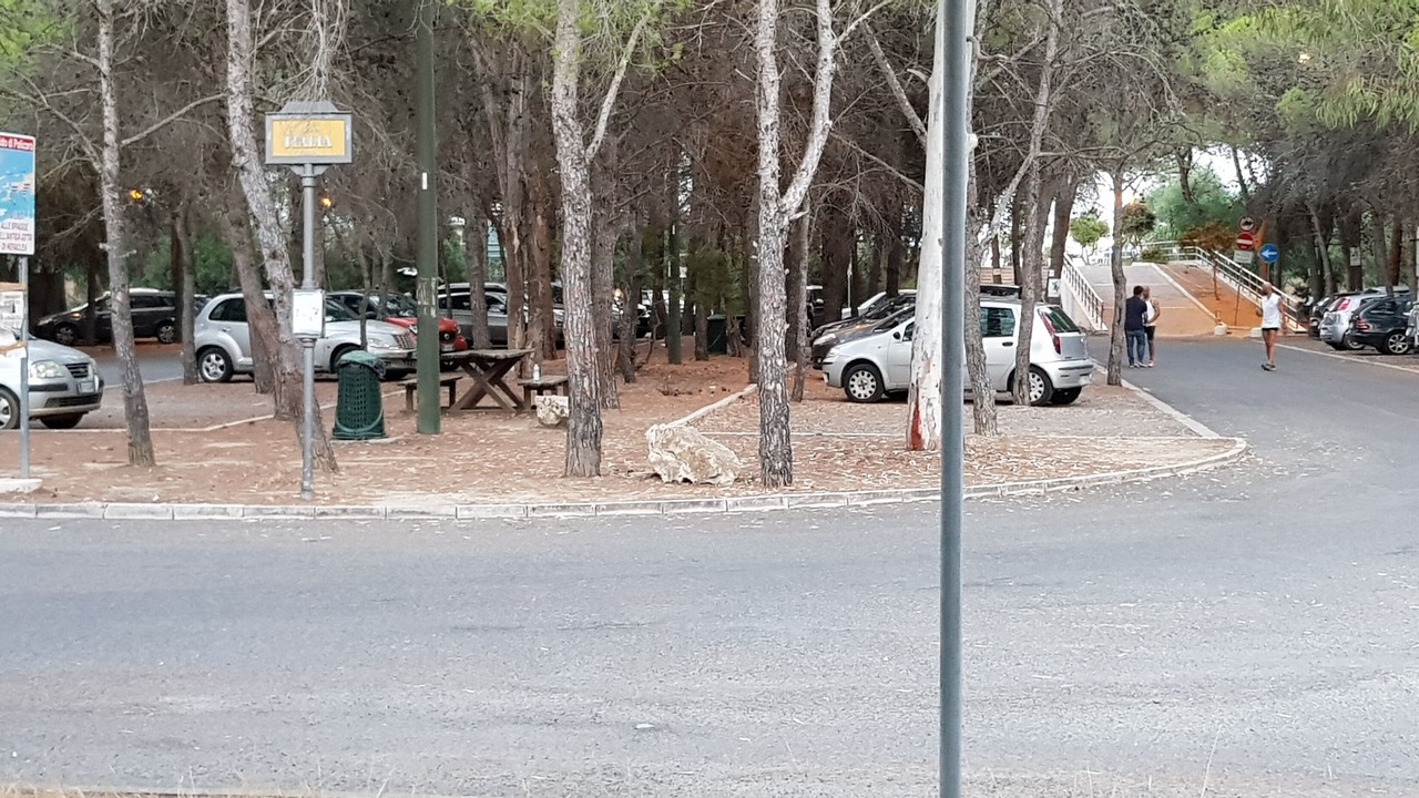 Photo of Others in Lido
