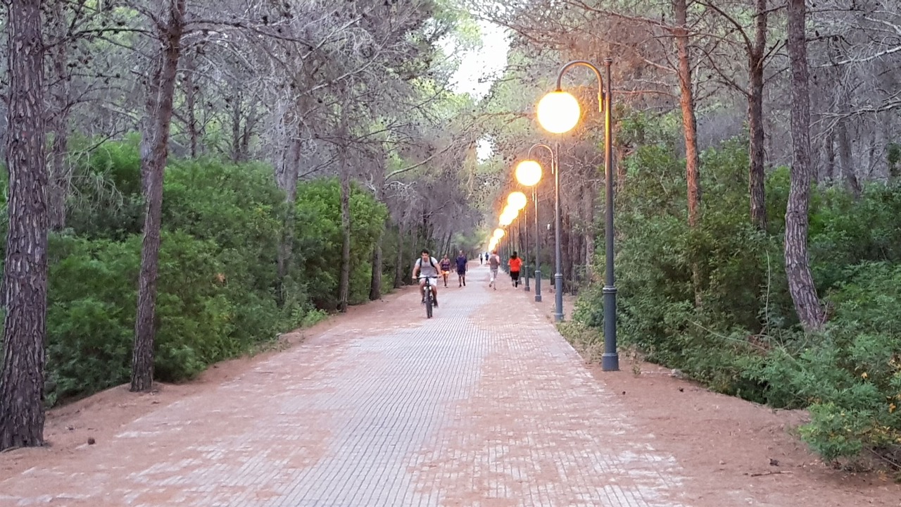 Photo of Outdoor in Lido