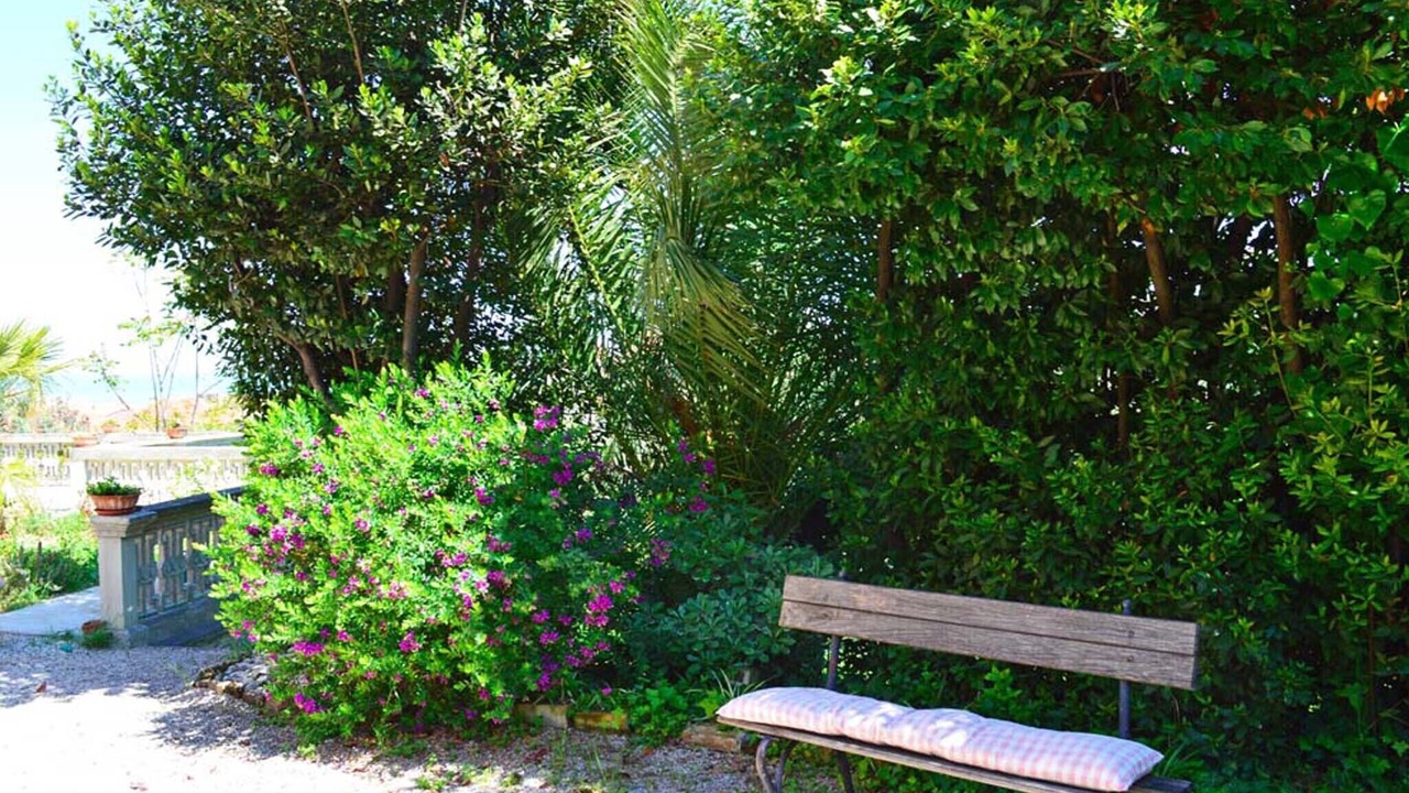 Photo of Outdoor in Silvi