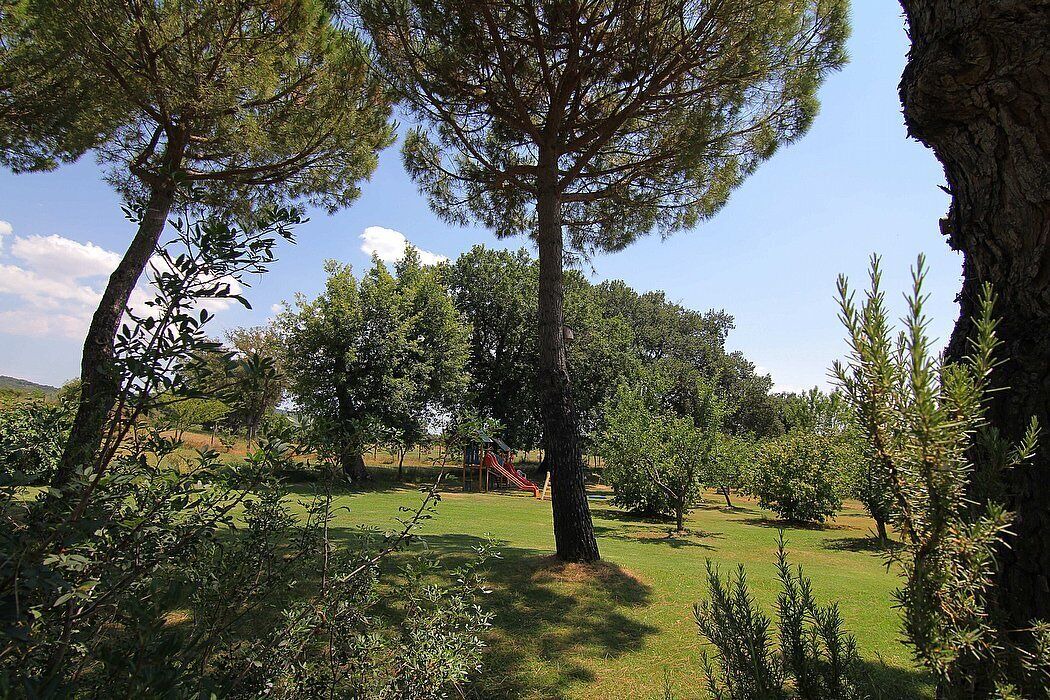 Photo of Outdoor in Asciano