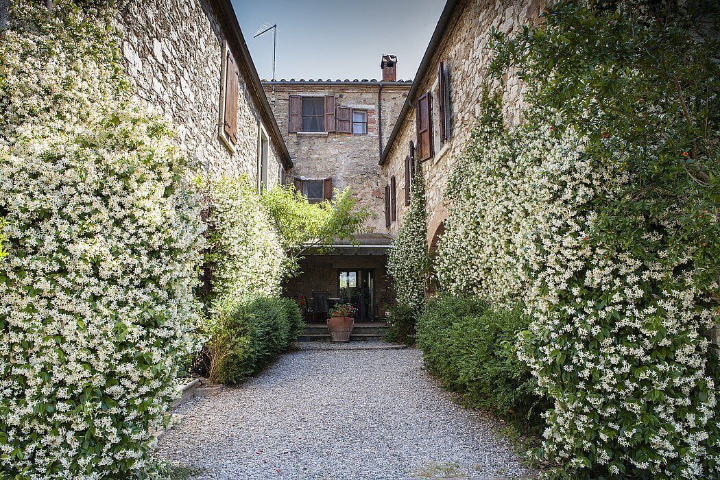 Photo of Outdoor in Asciano
