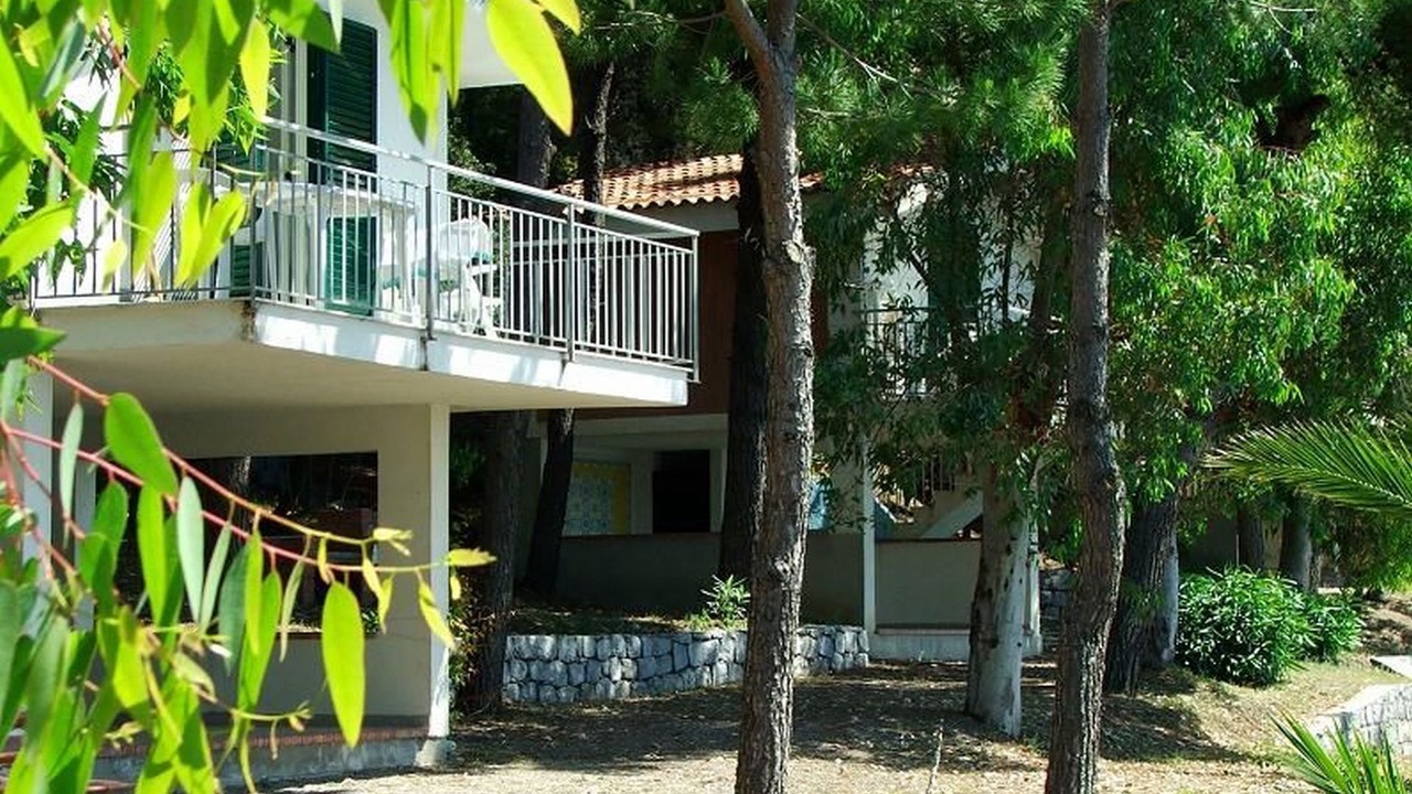 Photo of Outdoor in Scario