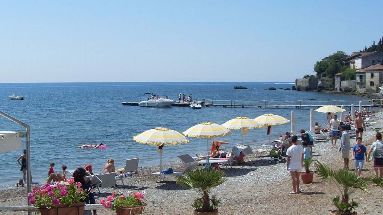 Photo of Others in Scario