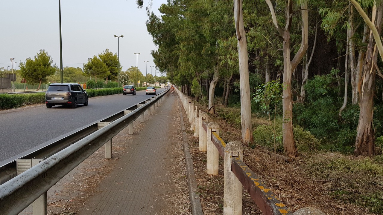 Photo of Others in Lido