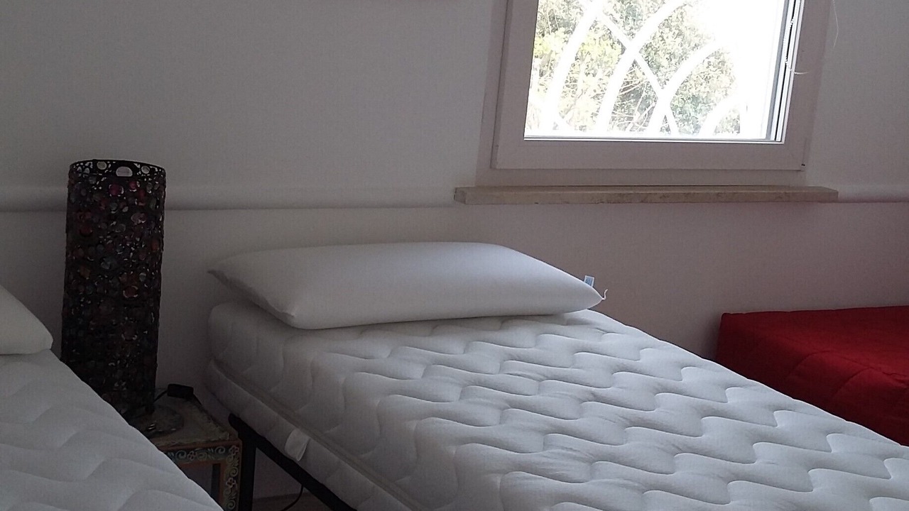 Photo of Bedroom in Colonia Elena