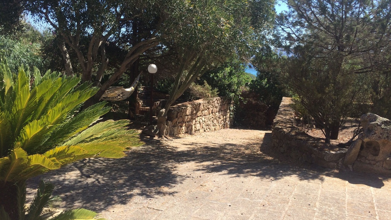 Photo of Outdoor in Palau