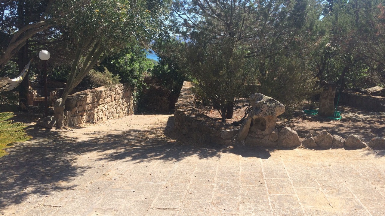 Photo of Outdoor in Palau