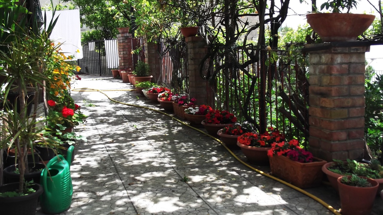 Photo of Outdoor in Dragonea