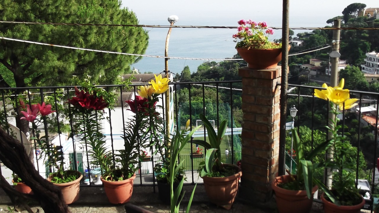 Photo of Outdoor in Dragonea