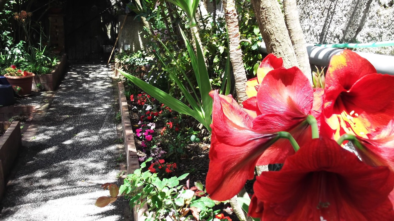 Photo of Outdoor in Dragonea