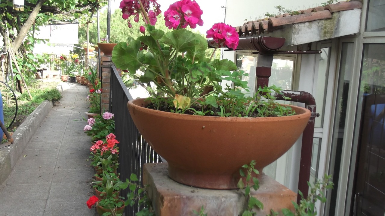 Photo of Outdoor in Dragonea