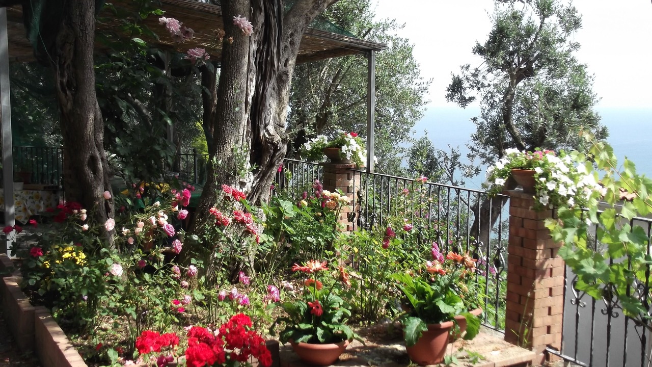 Photo of Outdoor in Dragonea