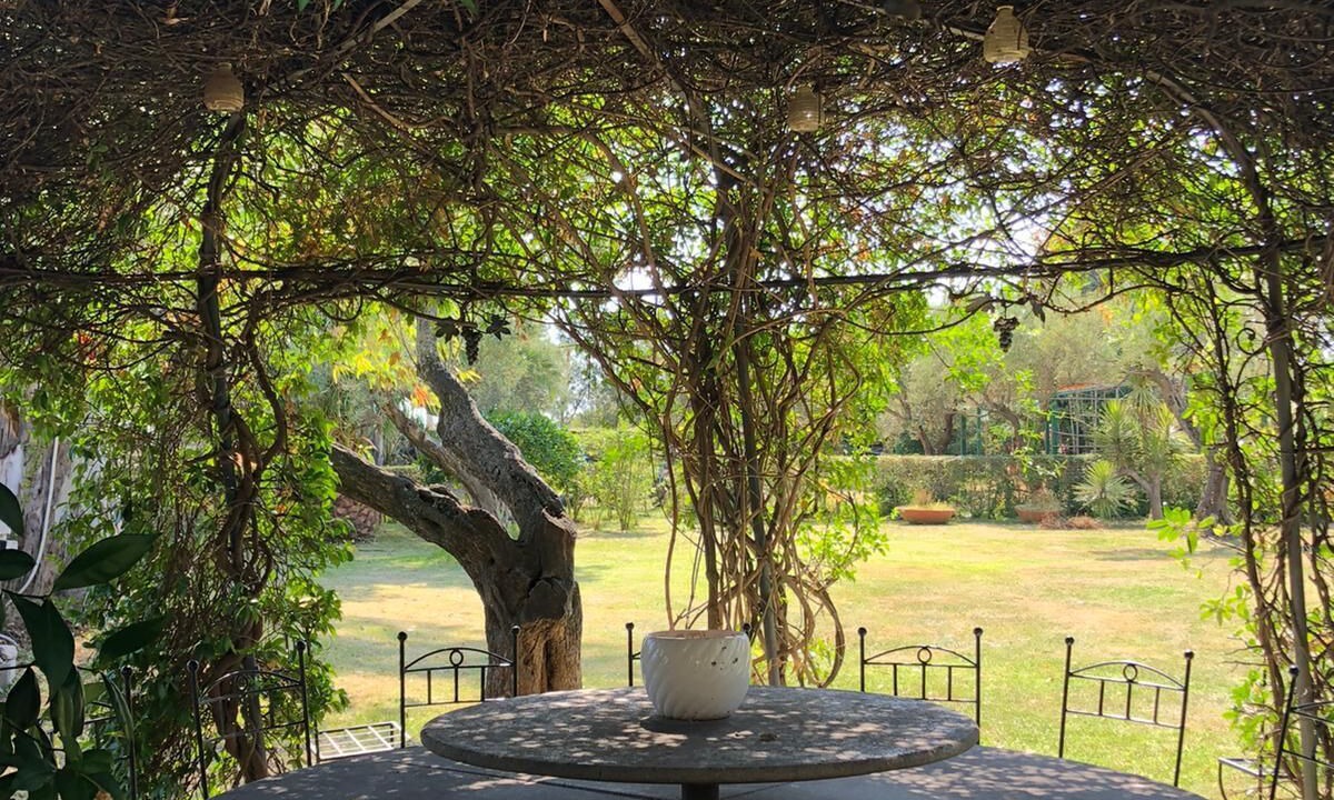 Photo of Outdoor in Vigne