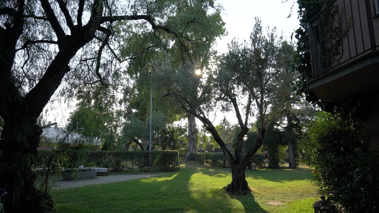 Photo of Outdoor in Vigne