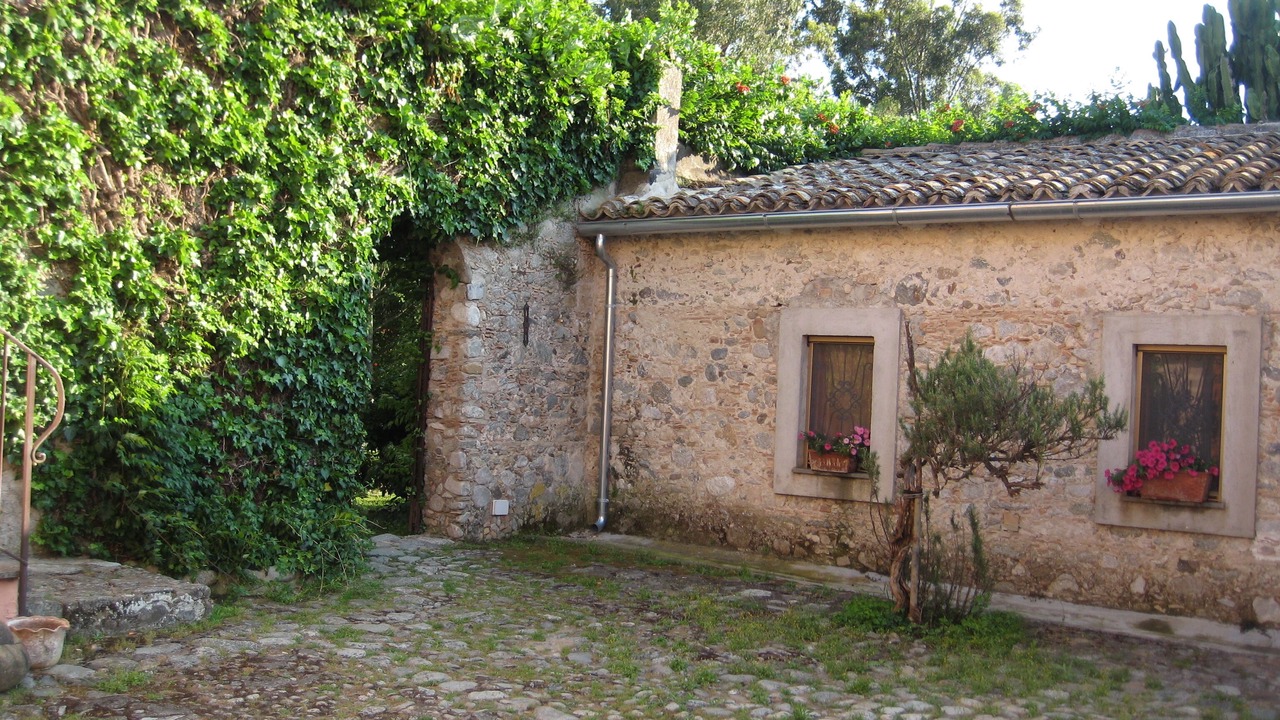 Photo of Others in Vigne