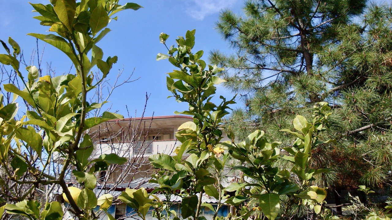 Photo of Outdoor in Santa Caterina Dello Ionio Marina
