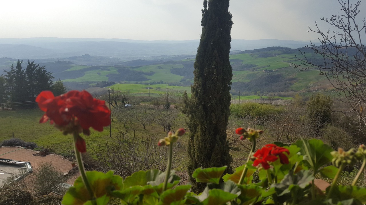 Photo of Patio Balcony in San Terenziano