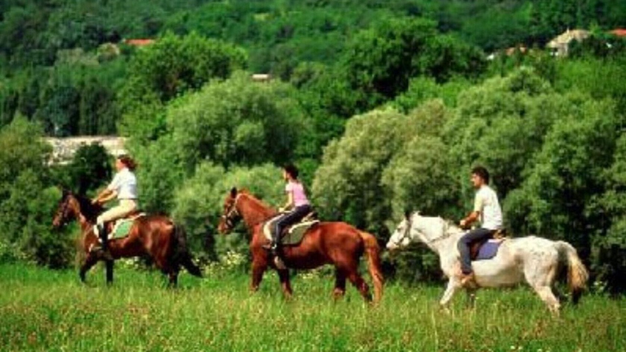 Photo of Others in Moggiana