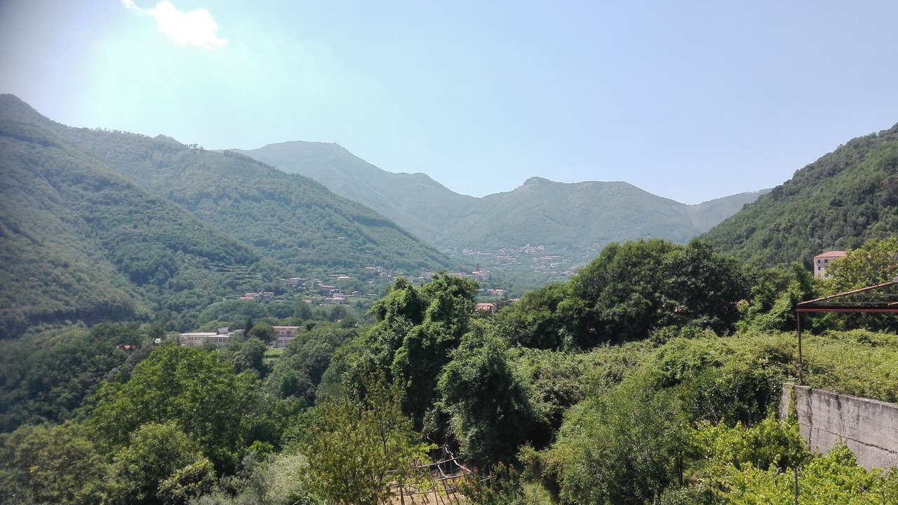 Photo of Others in Campinola