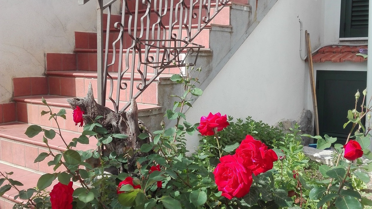 Photo of Outdoor in Campinola