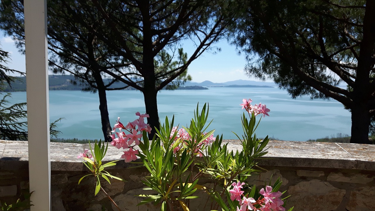 Photo of Others in Passignano sul Trasimeno