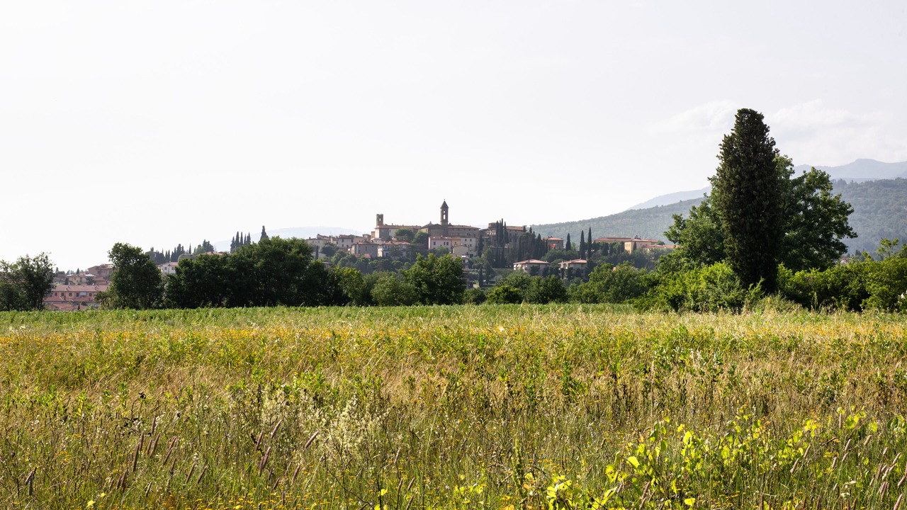 Photo of Outdoor in Castiglion Fibocchi