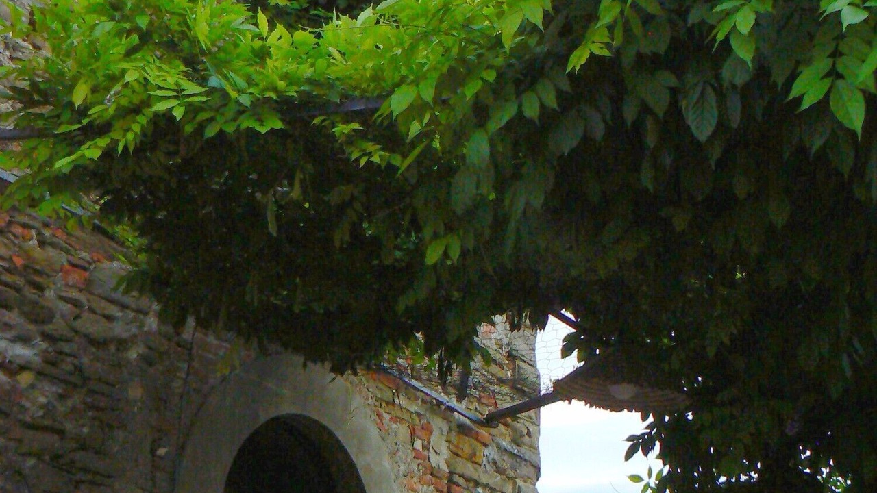 Photo of Outdoor in Arezzo