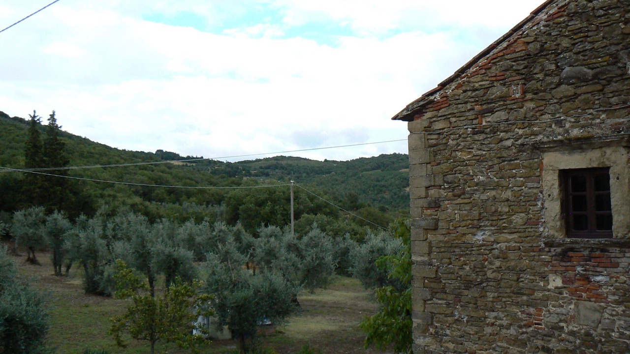 Photo of Others in Arezzo