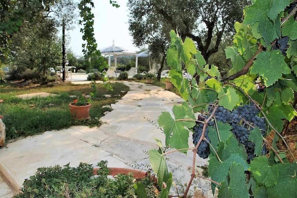 Photo of Outdoor in Itri