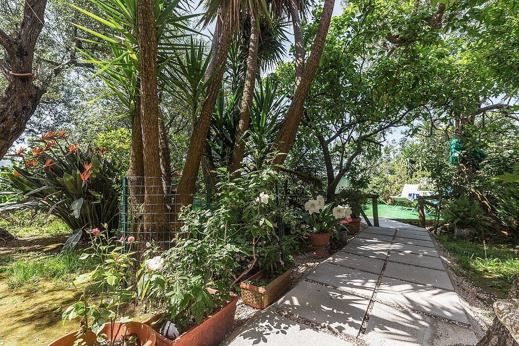 Photo of Outdoor in Schiazzano
