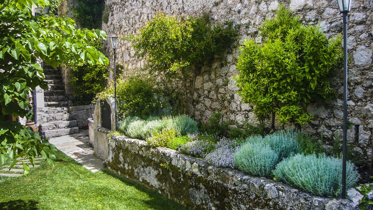 Photo of Outdoor in Vicalvi