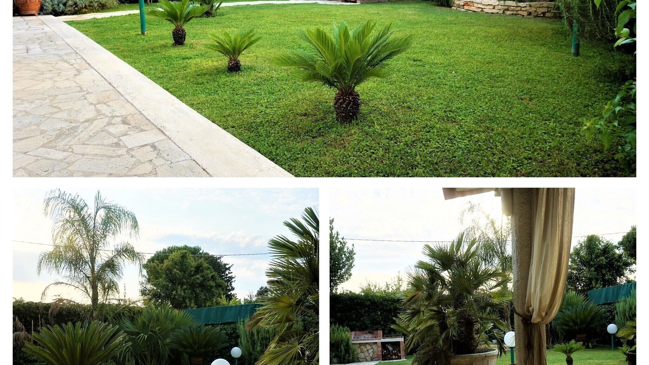 Photo of Outdoor in Porto Badino