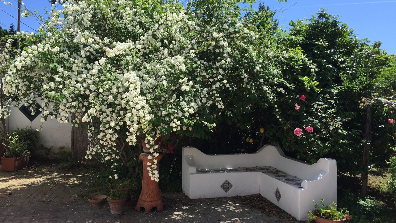 Photo of Outdoor in Procida