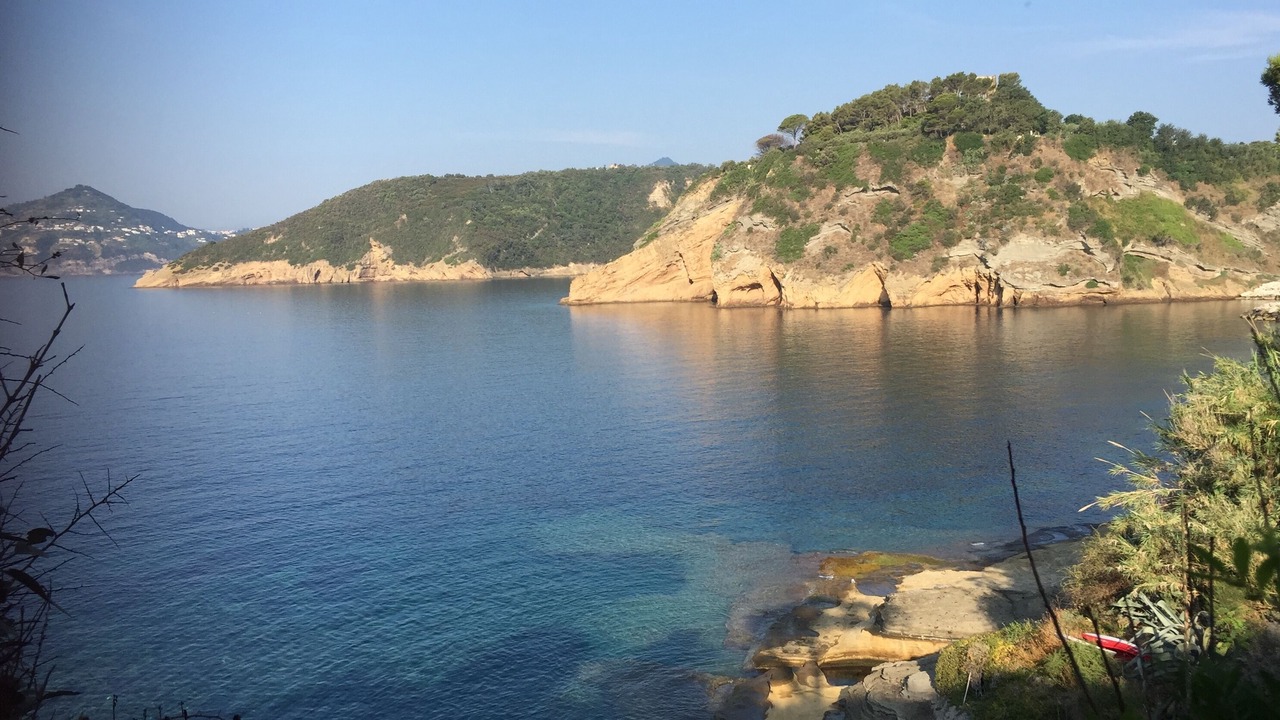 Photo of Others in Procida