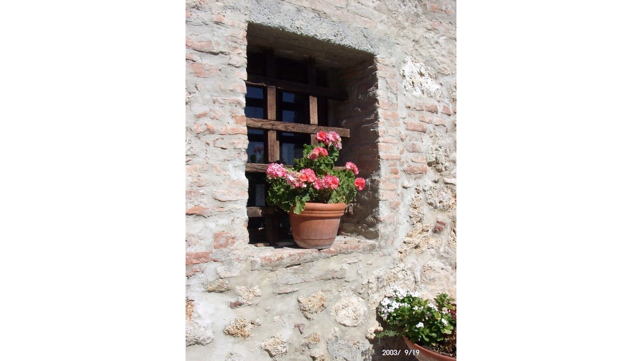 Photo of Outdoor in Cetona