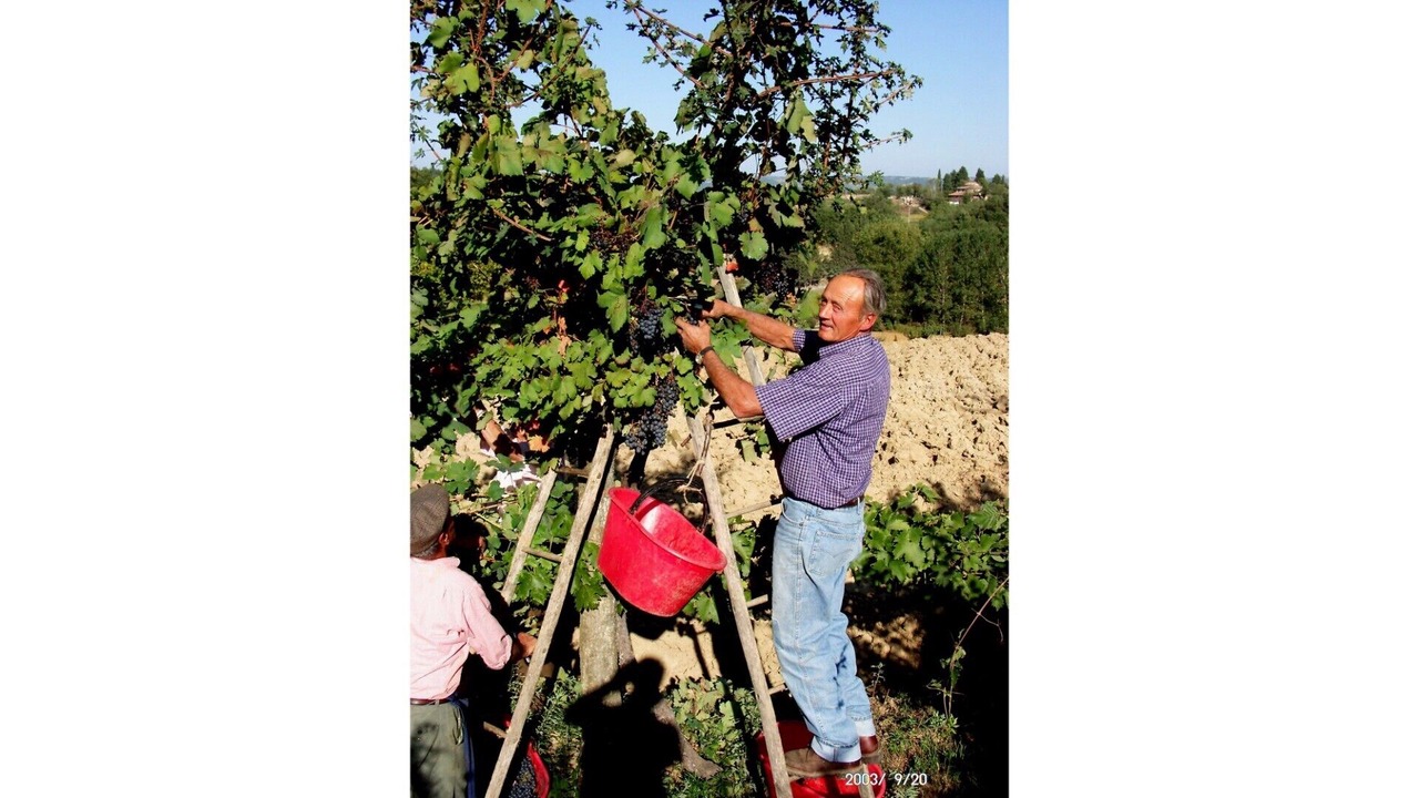 Photo of Outdoor in Cetona