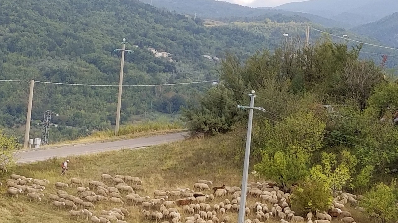 Photo of Others in Serramonacesca