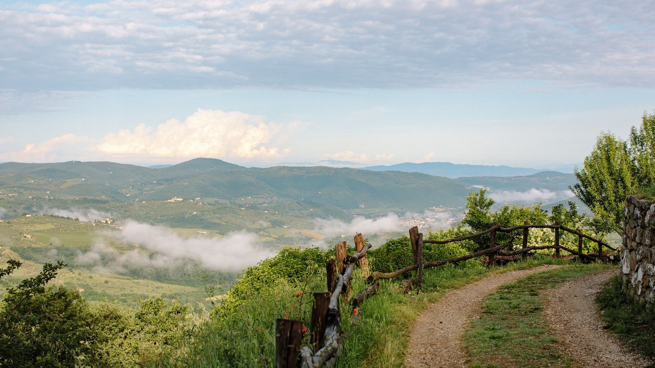 Photo of Outdoor in Pelago