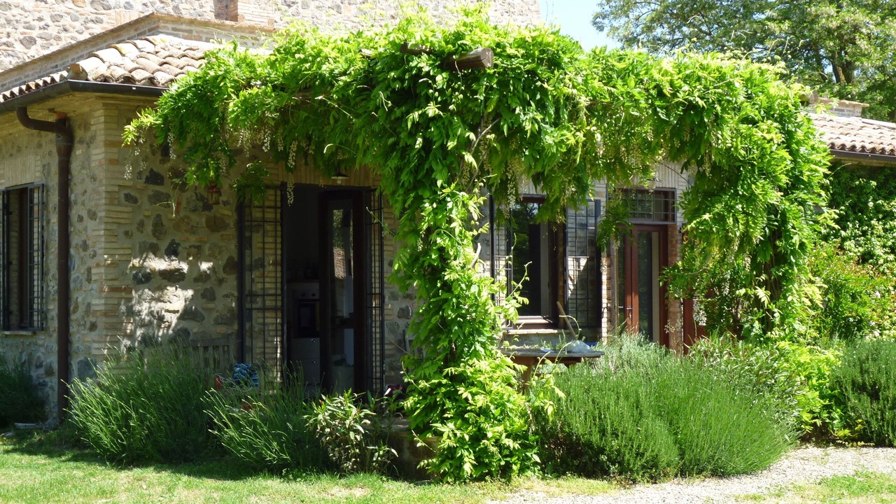 Photo of Outdoor in Castel Giorgio