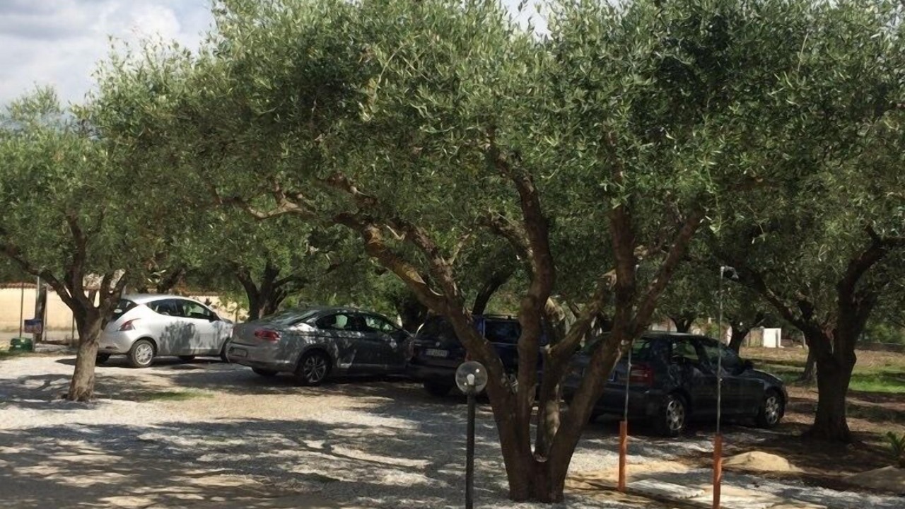 Photo of Outdoor in Santa Maria