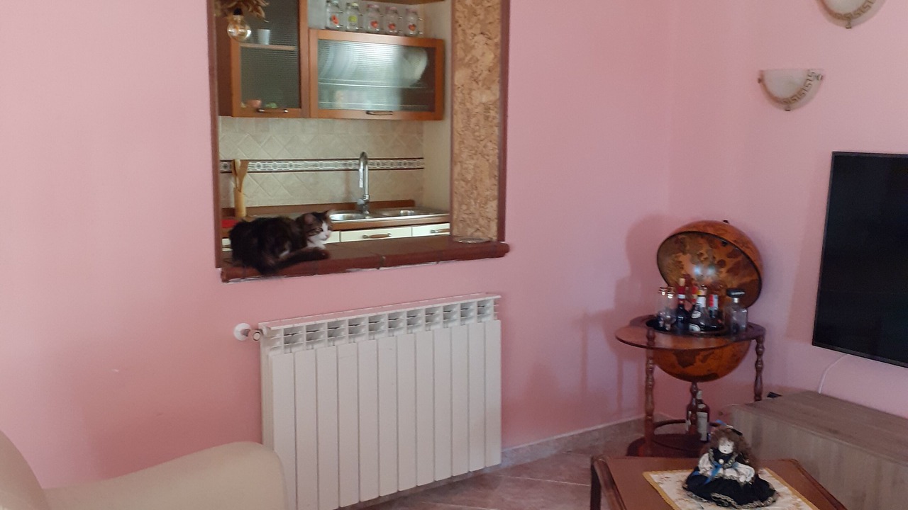 Photo of Livingroom in Liberi