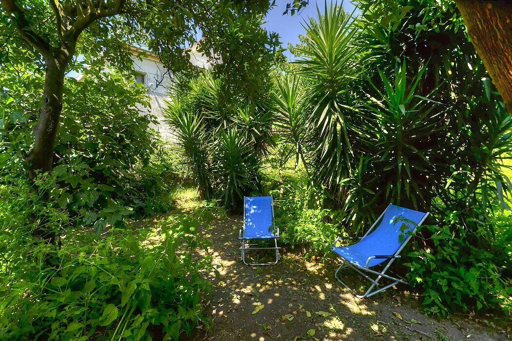 Photo of Outdoor in Meta