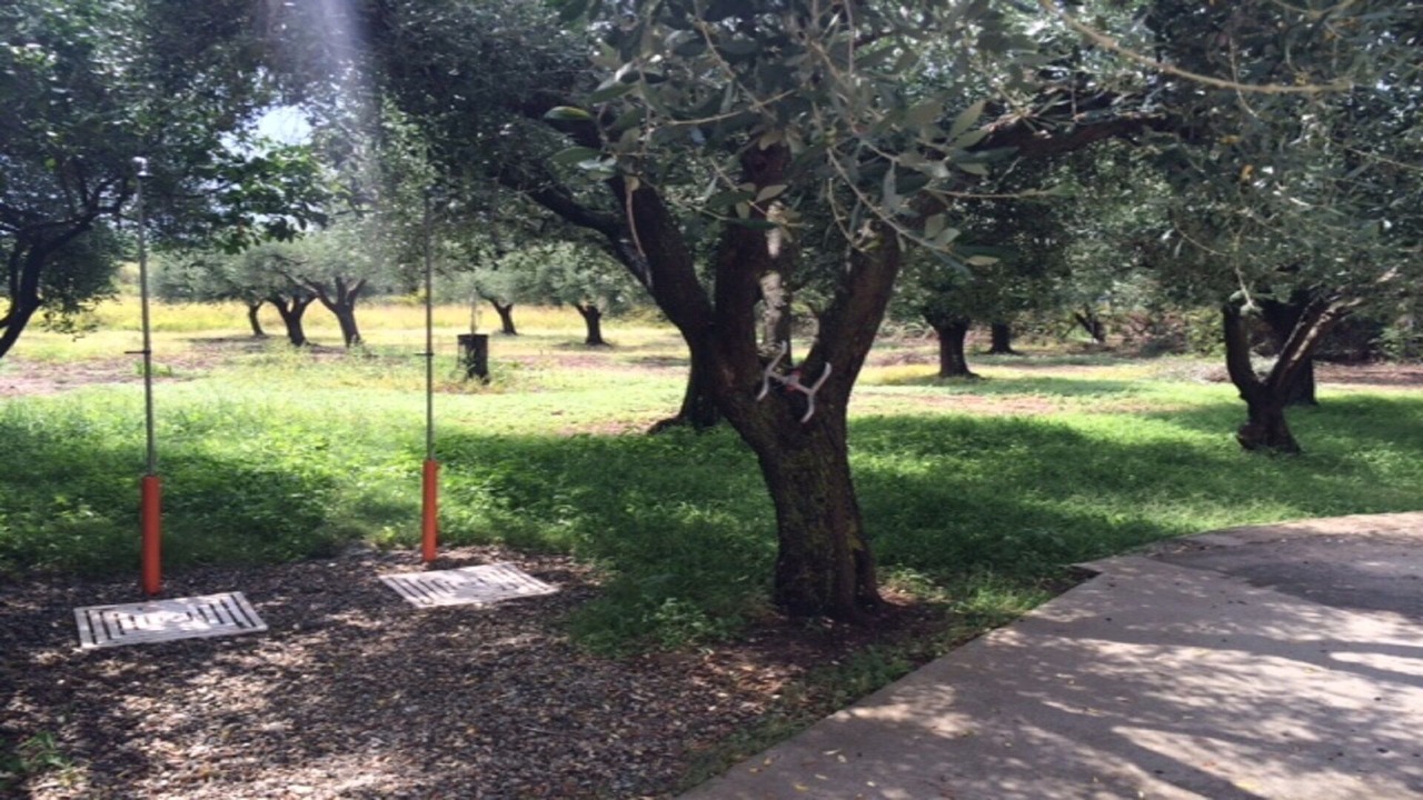 Photo of Outdoor in Santa Maria