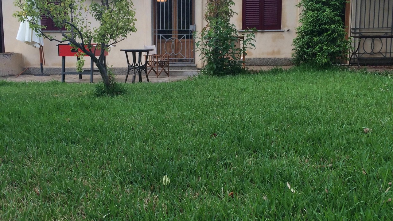 Photo of Outdoor in Cosoleto