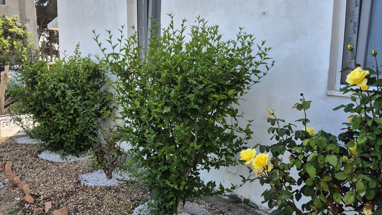 Photo of Outdoor in Belvedere Marittimo